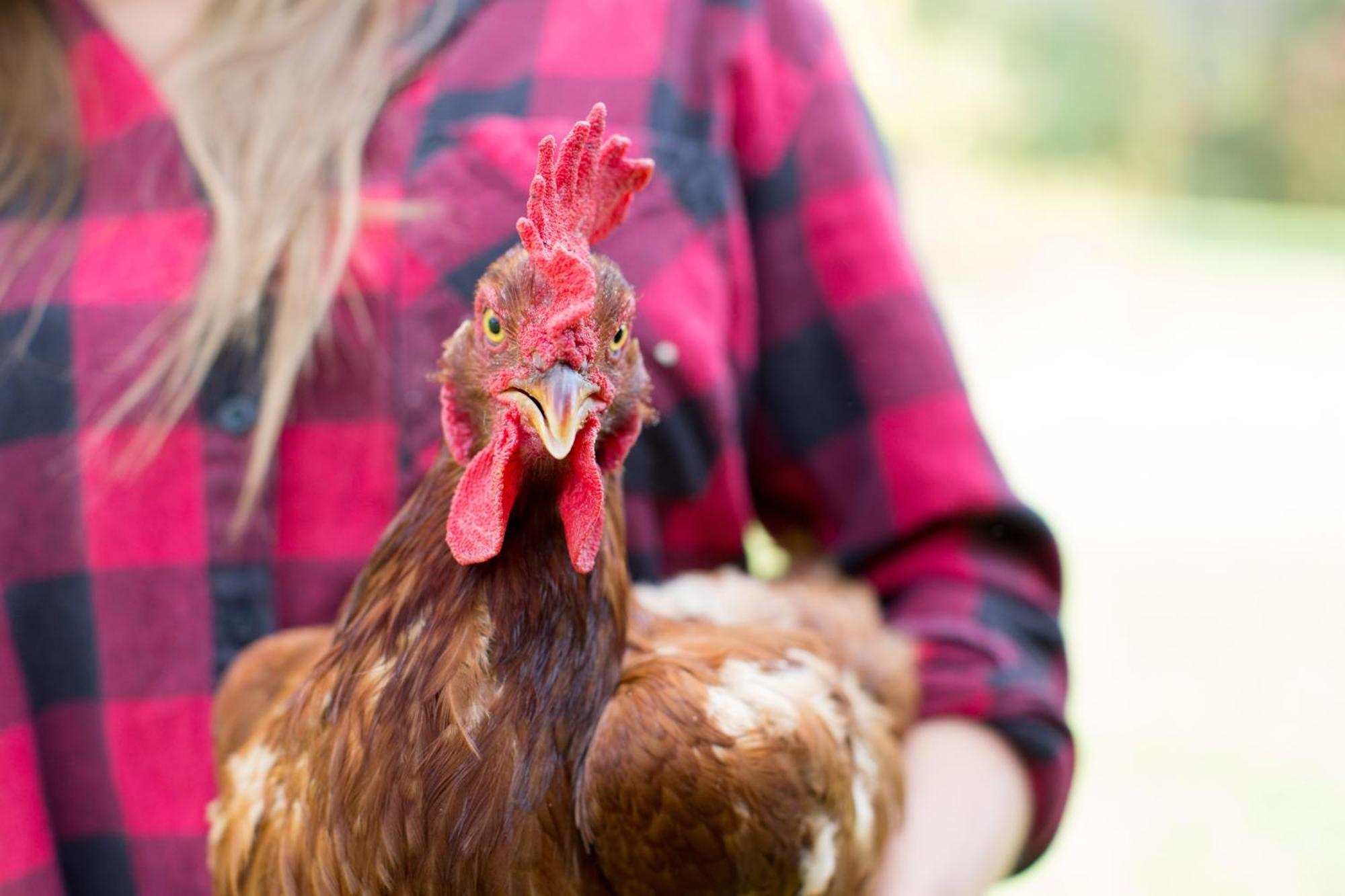 Woodstock Sustainable Farms Villa Eksteriør billede